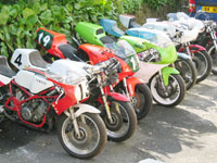 Yamaha TZs