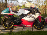 1995 Yamaha TZ250