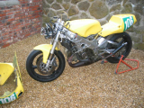 1993 Yamaha TZ250 Classic  racing Motorcycle Bike