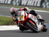 2008 TT Isle of man Gary Johnson Aim Suzuki 1000cc Superbike