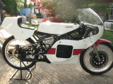 1980  Yamaha TZ125 G