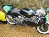 1994 TZ250F Classic  racing Motorcycle Bike