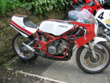 1984 Yamaha TZ250L Classic  racing Motorcycle Bike