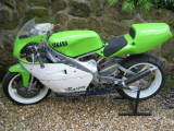 1995 Yamaha TZ250E Classic  racing Motorcycle Bike