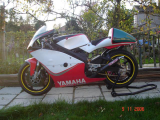 1995 Yamaha TZ250