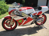 1986 Yamaha TZ250T
