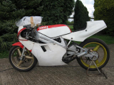 1986 Yamaha TZ250 Deltabox