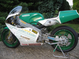 1989 Yamaha TZ250 Reverse