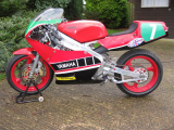 1989 Yamaha TZ250W reverse cylinder