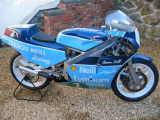 1986 Honda RS250 Classic  racing Motorcycle Bike