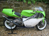 1995 Yamaha TZ250E Classic  racing Motorcycle Bike