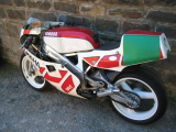 1987 Yamaha TZ250T