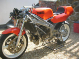 1990 Yamaha TZ250A Reverse Cylinder Classic  racing Motorcycle Bike