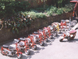 Honda Monkey Collection