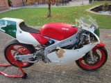 1990 Yamaha TZ250 Reverse Cylinder