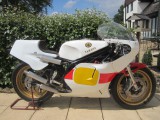 1982 Yamaha TZ500 G spondon